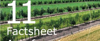 Factsheet Agroforestry 11