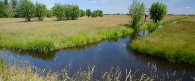 Natura 2000 gebied de Donkse Laagten wordt door Staatsbosbeheer verpacht aan lokale boeren. Er liggen waardevolle bloemrijke graslanden (fase 4) en het gebied heeft een groeiende populatie weidevogels. Veel van de lokale boeren doen op hun aangrenzende percelen aan agrarisch natuur- en landschapsbeheer (ANLb). Zeven van de 29 onderzochte percelen lagen in de Donkse Laagten. Foto: Bendiks Westerink